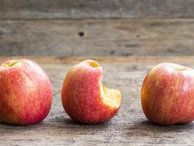 Comment se fait la culture des pommes ?
