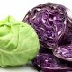 cabbage-varieties