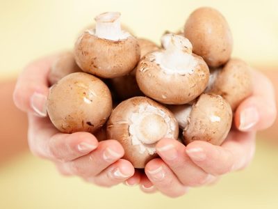 mushrooms-in-hands