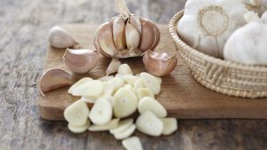 garlic-bulb