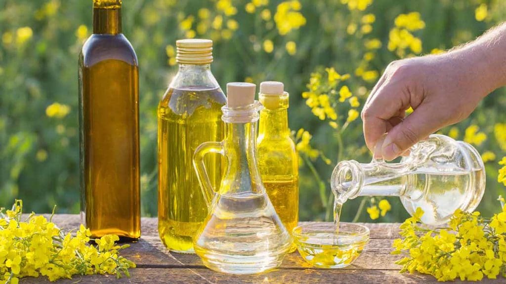 Comment se fait l'huile de canola ? Le Panier alimentaire canadien