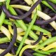 green-yellow-purple-beans